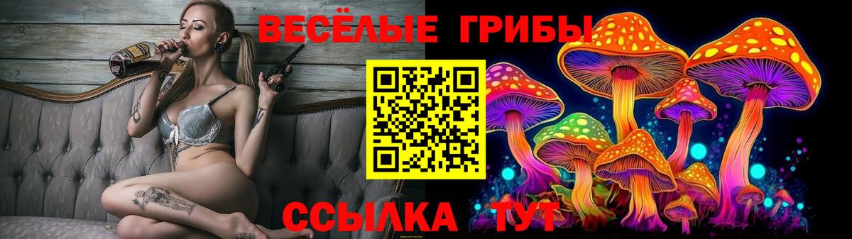 Галлюциногенные грибы GOLDEN TEACHER Комсомольск-на-Амуре